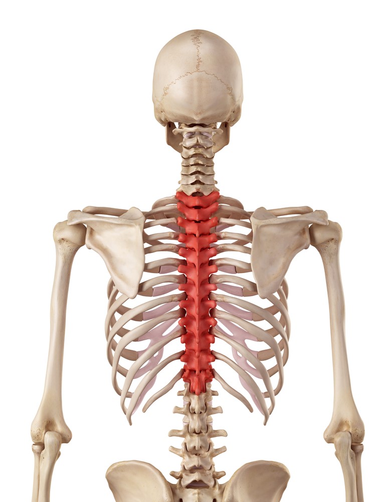 Common Upper Back and Chest Injuries - My Family Physio