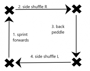Prevention of Ankle Sprains in Sports - My Family Physio