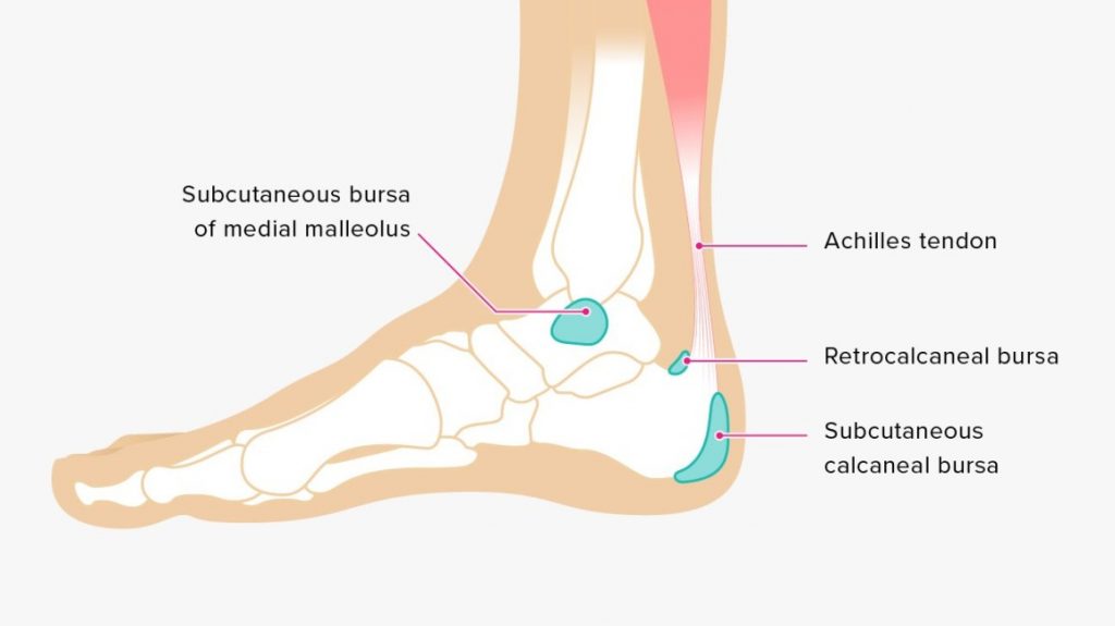 Achilles Tendon Injuries My Family Physio