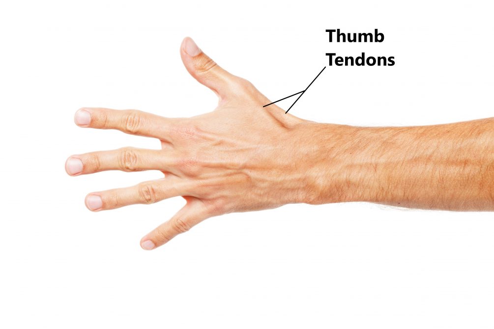 De Quervain's Tenosynovitis My Family Physio