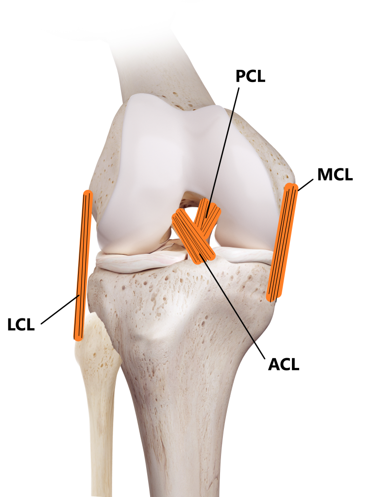 Medial Collateral Ligament injury - Knee Ligament sprain: Knee Physio