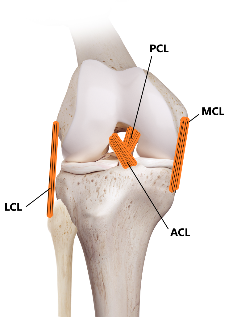 What are Medial Collateral Ligament (MCL) Tears & How to Recover? - Upswing  Health