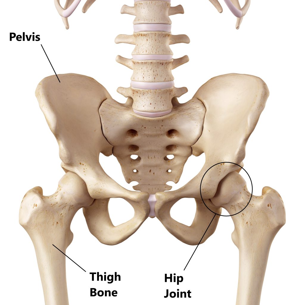 Greater Trochanteric Pain Syndrome Guide - Ethos Health