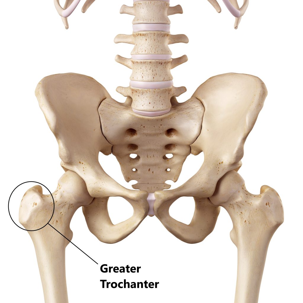 trochanter