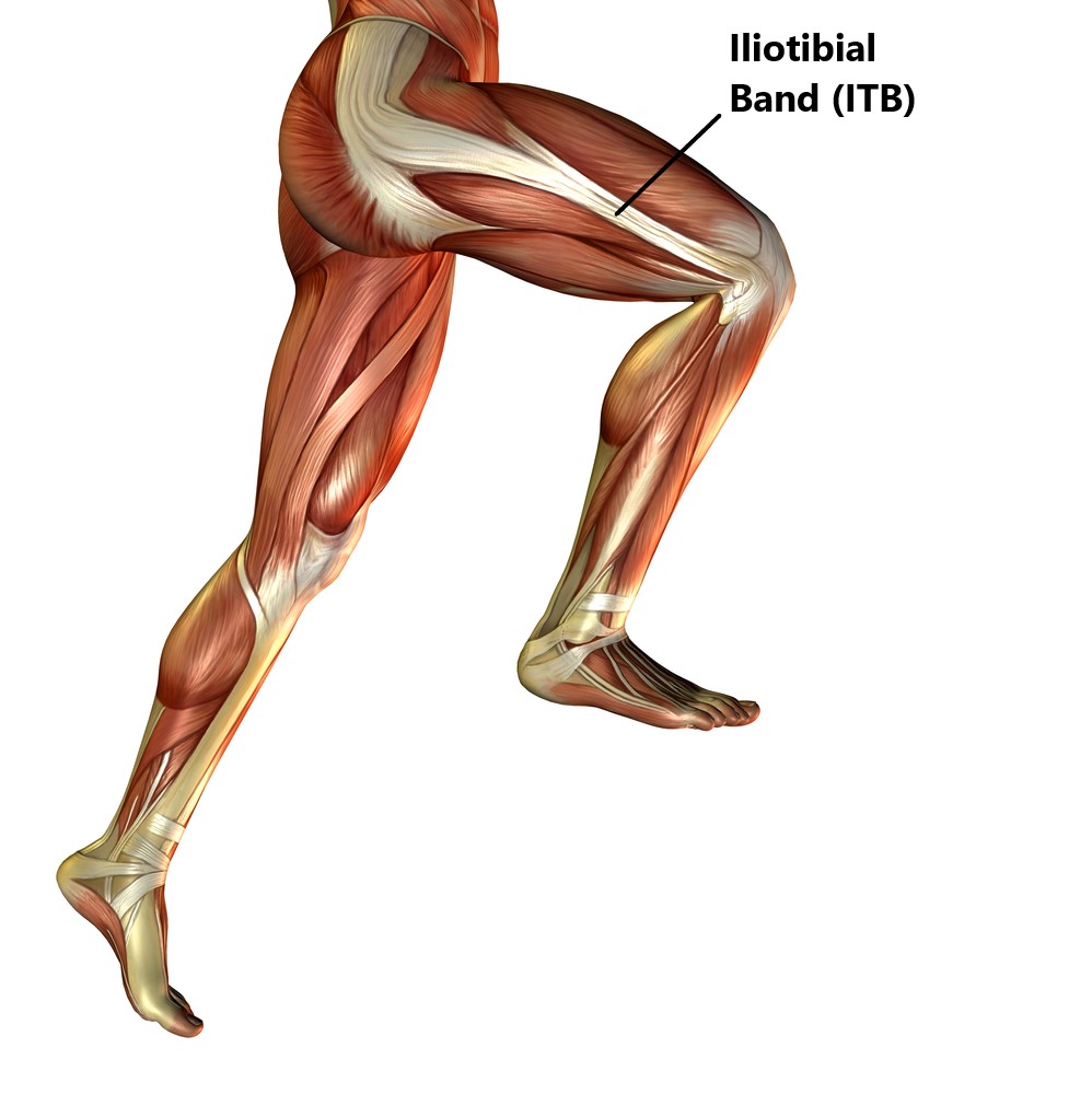 Iliotibial Tract Anatomy