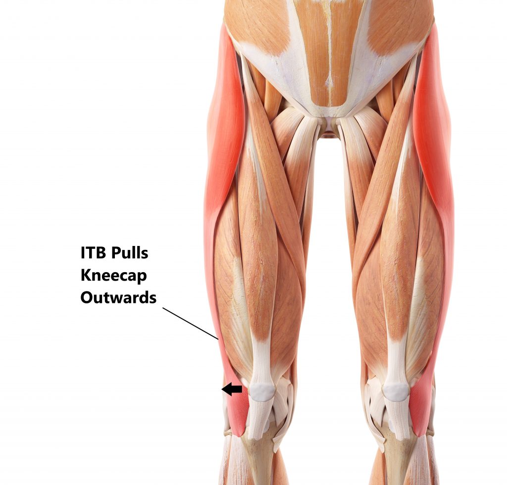 Knee cap moves clearance and pain