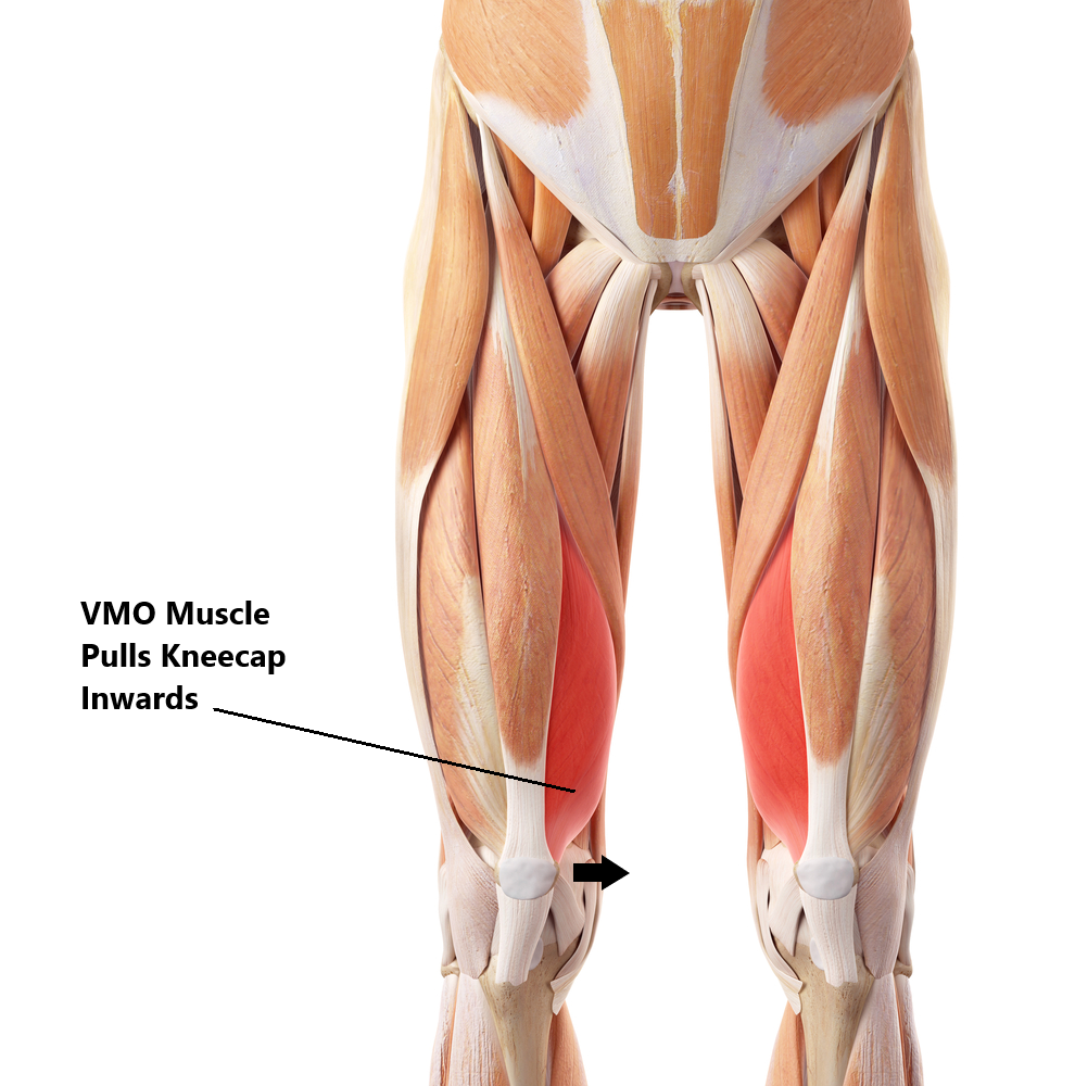 knee cap on side of leg