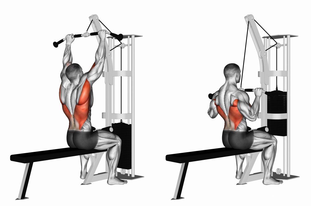 Scapula Stability - My Family Physio