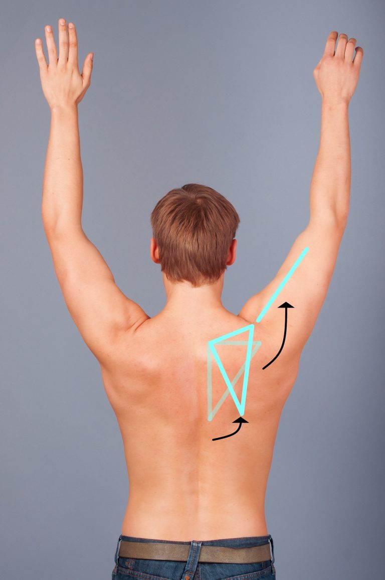 Scapula Stability - My Family Physio
