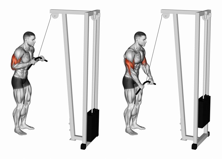 Scapula Stability - My Family Physio