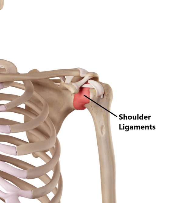 Frozen Shoulder My Family Physio