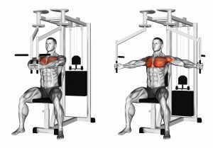 Scapula Stability - My Family Physio