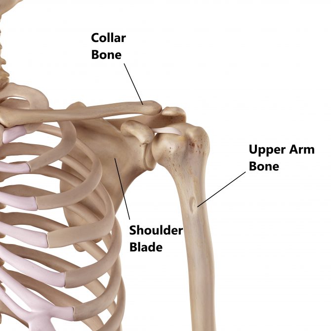 Shoulder Impingement - My Family Physio