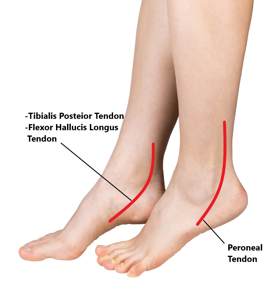 bursa ankle pain