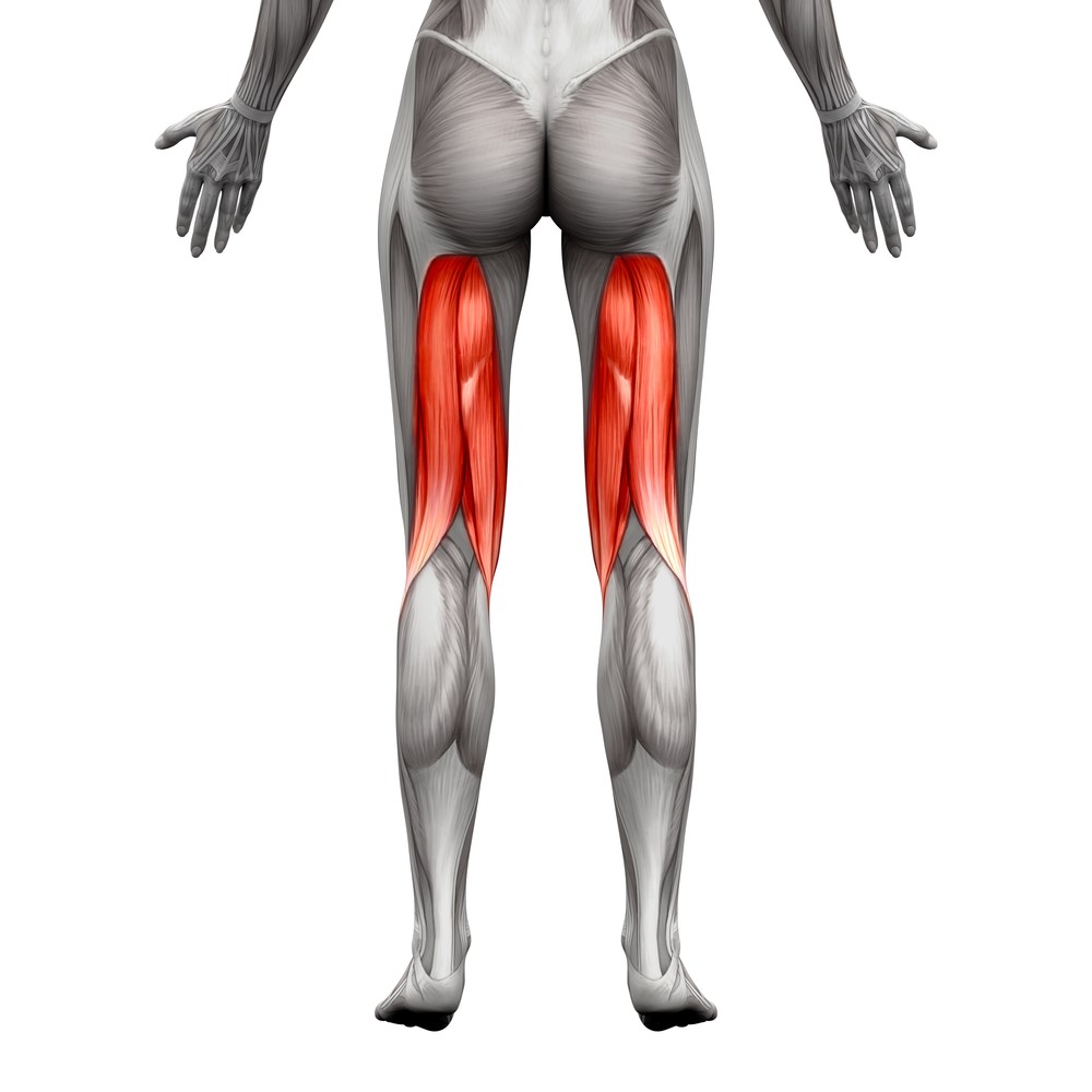 Common Thigh Injuries - My Family Physio