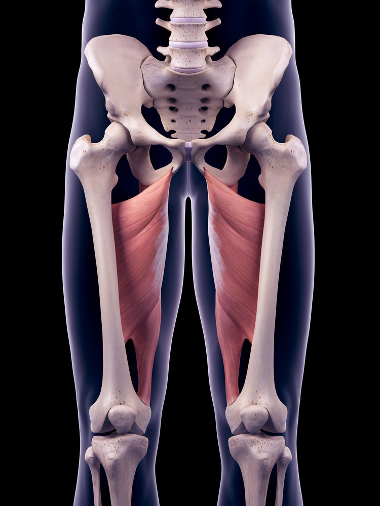 Common Groin Injuries - My Family Physio