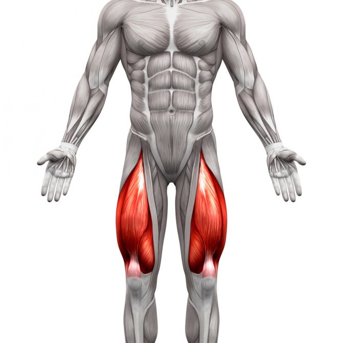 Common Thigh Injuries My Family Physio